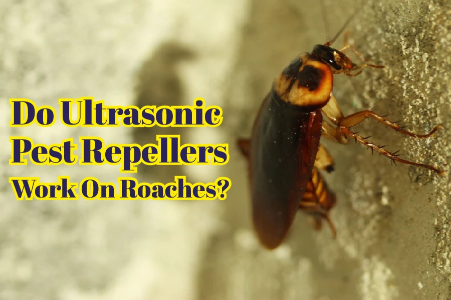 Do Ultrasonic Pest Repellers Work on Roaches