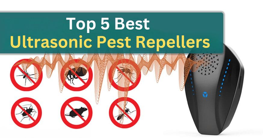 Top 5 Best Ultrasonic Pest Repellers: Tested and Tried