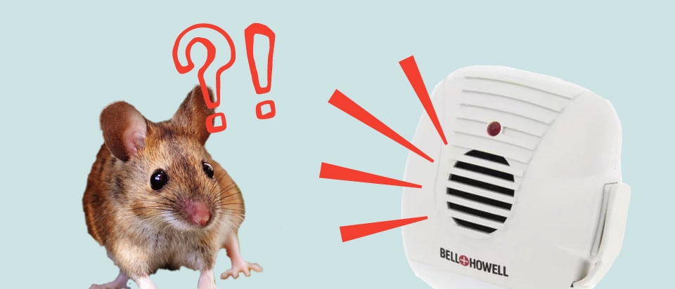 Do Ultrasonic Pest Repellers Work? Here is the Truth | BestPestRepellent