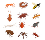 The Types of Insects That an Pest Repellents Can Repel