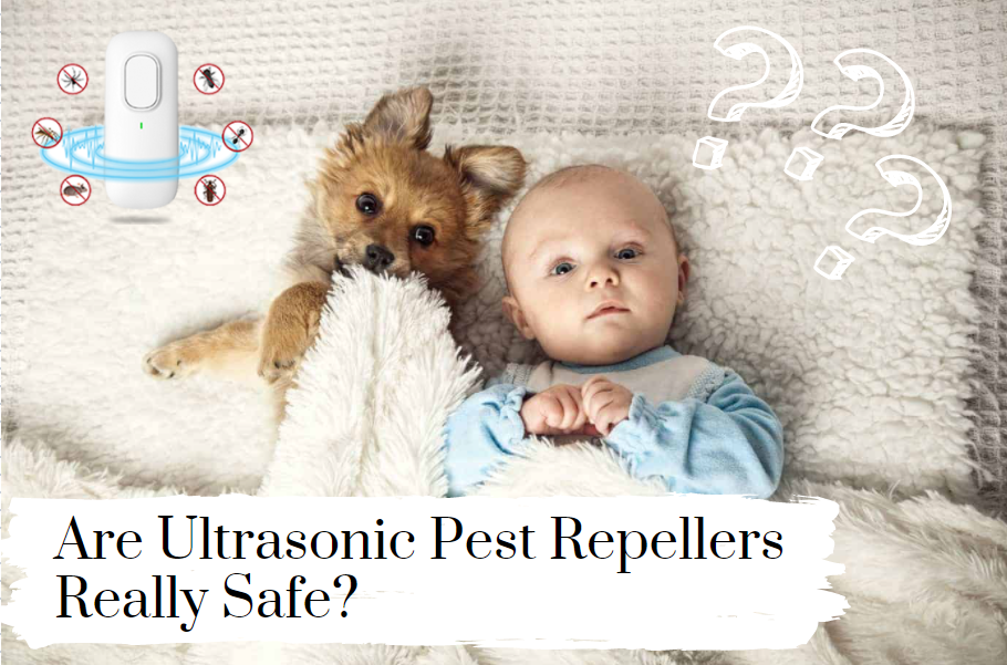 Are Ultrasonic Pest Repellers Really Safe?