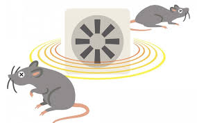 Di Ultrasonic Pest Repellers Work on Rats