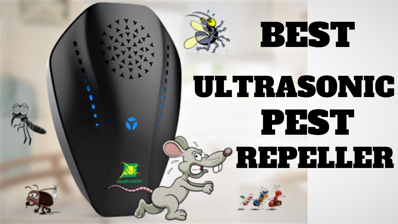 3 Best Ultrasonic Pest Repellers (2023 Update)
