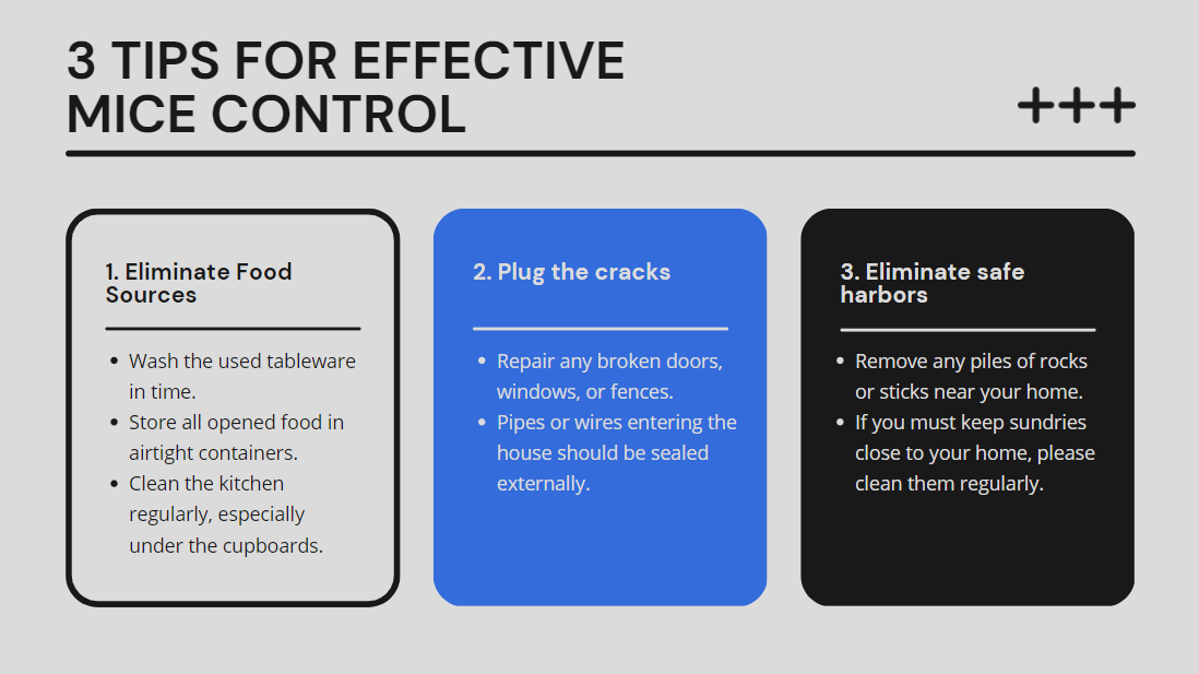 3 Tips for Effective Mice Control