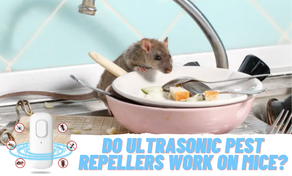 Do Ultrasonic Pest Repellers Work on Mice