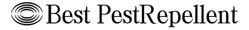 newmouth logo